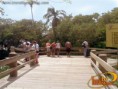 /album/cocodrilario/coco-4-jpg/
